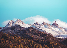 纵横娱乐新纪元：yl23455永利官网带你领略极致体验